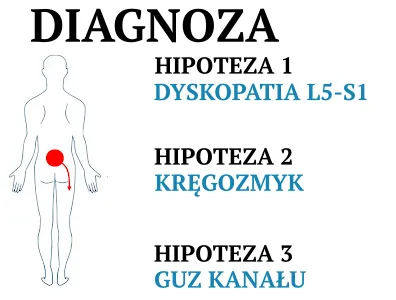 diagnostyka fizjoterapeutyczna hipoteza